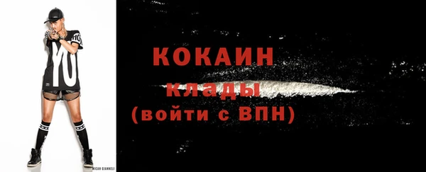 бошки Пересвет