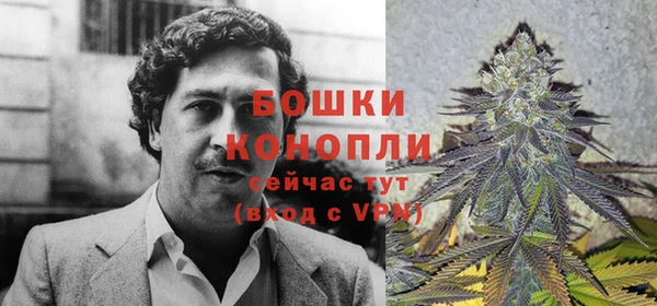 стафф Пестово