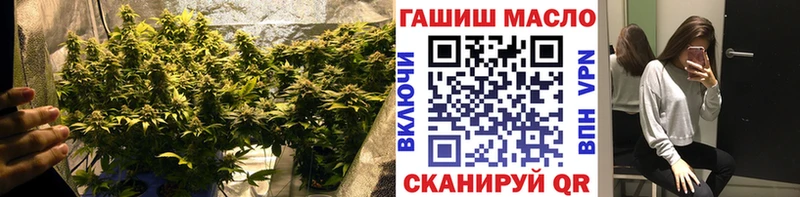 ТГК Wax  магазин    Ермолино 
