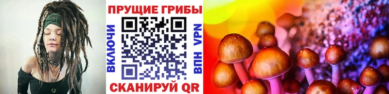 даркнет сайт  Ермолино  Галлюциногенные грибы Cubensis 